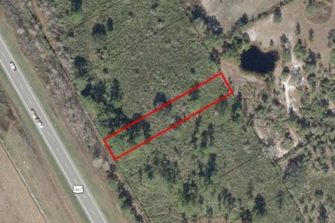 Immobilier commercial à vendre à Okeechobee, Floride № 2392547 - photo 2
