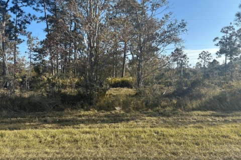 Immobilier commercial à Okeechobee, Floride № 2392547