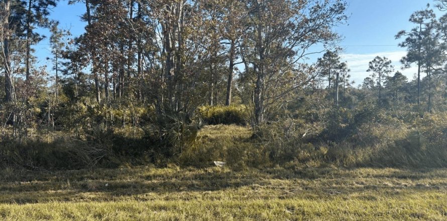 Immobilier commercial à Okeechobee, Floride № 2392547