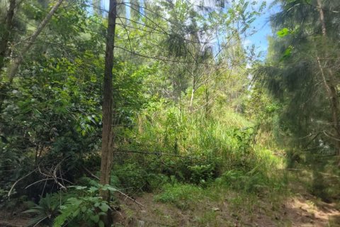 Land in Southwest Ranches, Florida № 1050190 - photo 1