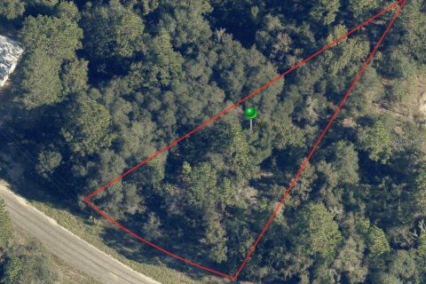 Land in Citrus Springs, Florida № 2299010