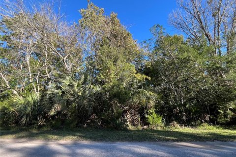 Land in Homosassa, Florida № 1522985 - photo 2