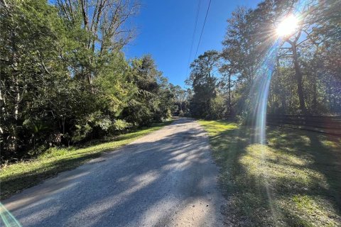 Land in Homosassa, Florida № 1522985 - photo 3