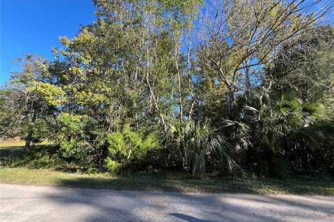Land in Homosassa, Florida № 1522985 - photo 1