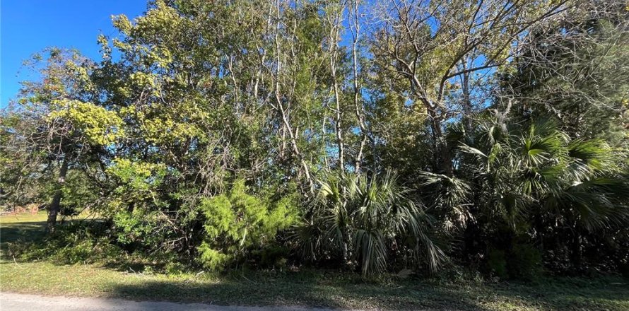 Land in Homosassa, Florida № 1522985