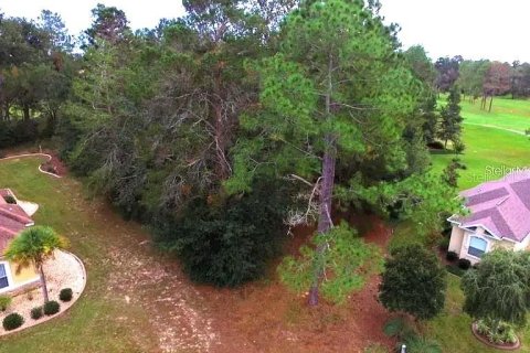 Land in Homosassa, Florida № 1905843 - photo 12