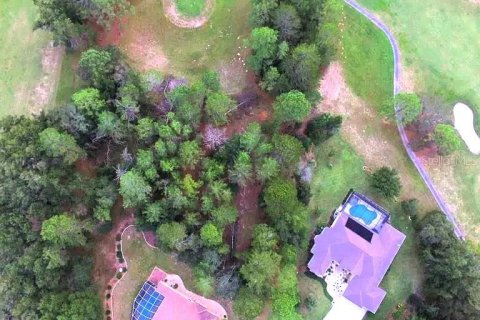 Land in Homosassa, Florida № 1905843 - photo 11