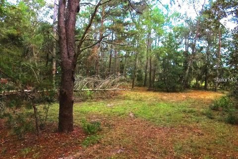 Land in Homosassa, Florida № 1905843 - photo 8