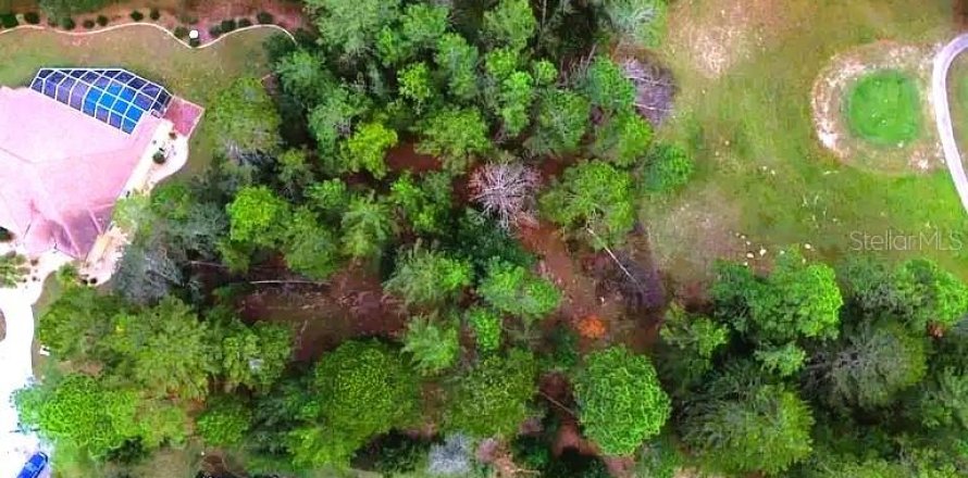 Terrain à Homosassa, Floride № 1905843