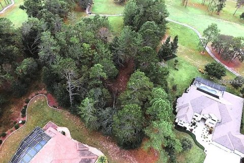 Land in Homosassa, Florida № 1905843 - photo 4