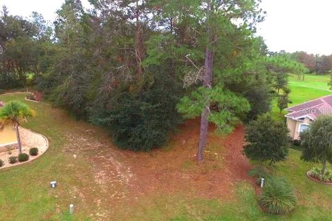 Land in Homosassa, Florida № 1905843 - photo 2