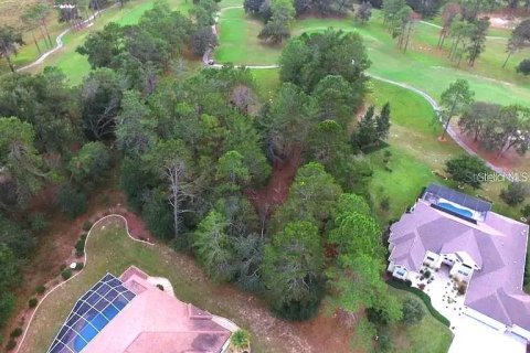 Land in Homosassa, Florida № 1905843 - photo 10