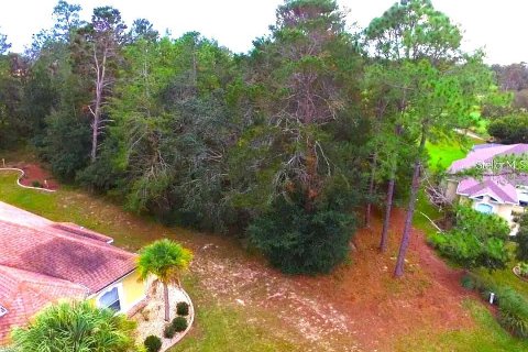 Land in Homosassa, Florida № 1905843 - photo 3