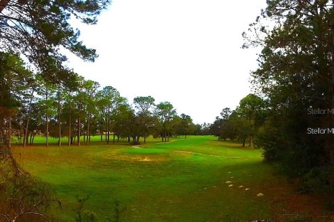 Land in Homosassa, Florida № 1905843 - photo 9