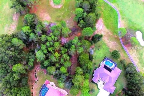 Land in Homosassa, Florida № 1905843 - photo 7