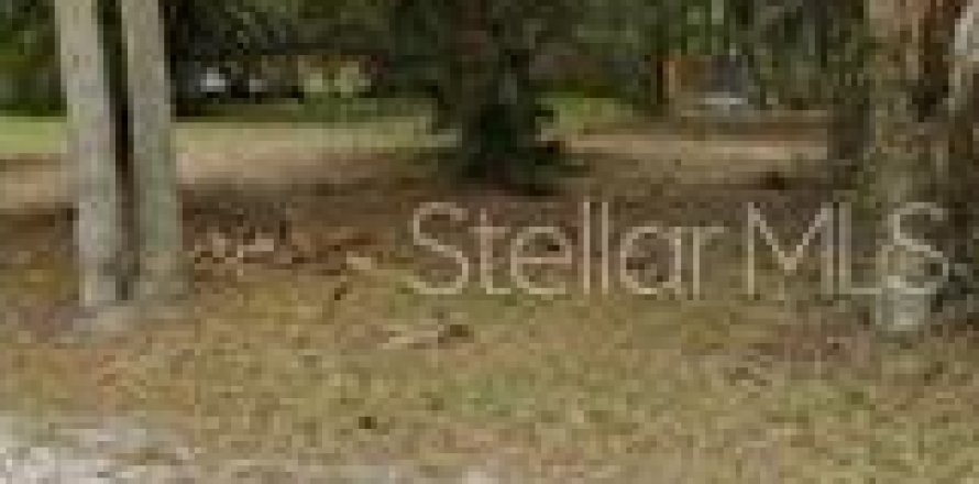 Land in Apopka, Florida № 1833348