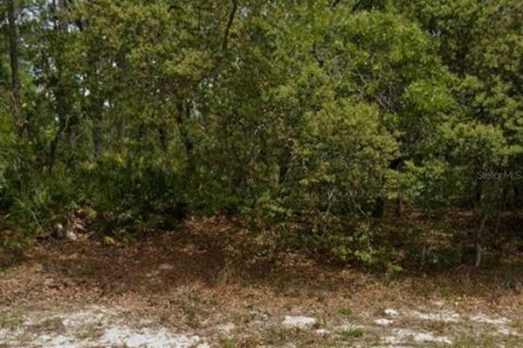 Terreno en Dunnellon, Florida № 2230369