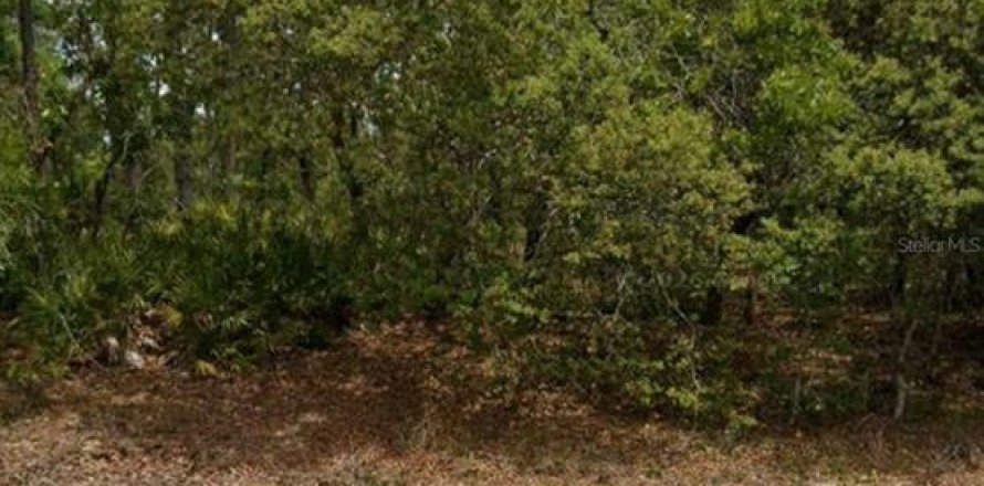 Terrain à Dunnellon, Floride № 2230369