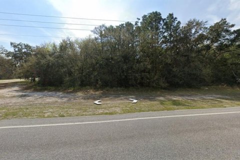 Terrain à vendre à Hudson, Floride № 2125412 - photo 4