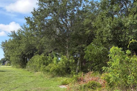 Immobilier commercial à Port St. Lucie, Floride № 2259885