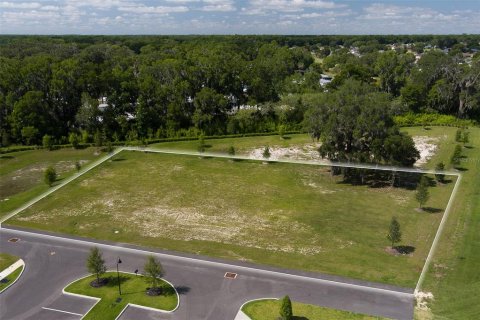 Land in Ocala, Florida № 1592593 - photo 3