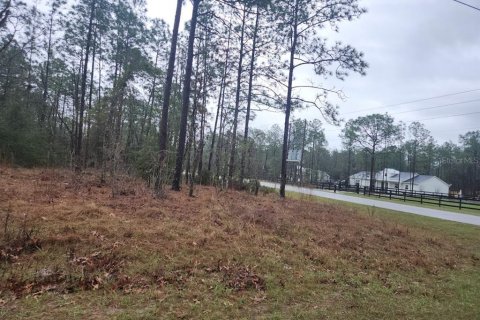 Terrain à vendre à Ocala, Floride № 1682954 - photo 6