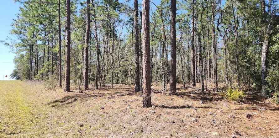 Terreno en Ocala, Florida № 1682954