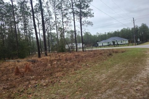 Terrain à vendre à Ocala, Floride № 1682954 - photo 5