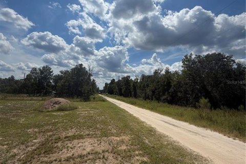 Land in Belleview, Florida № 2391368 - photo 4