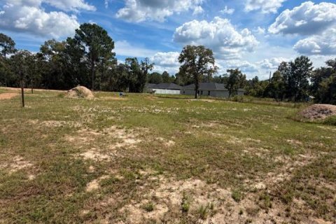 Land in Belleview, Florida № 2391368 - photo 2