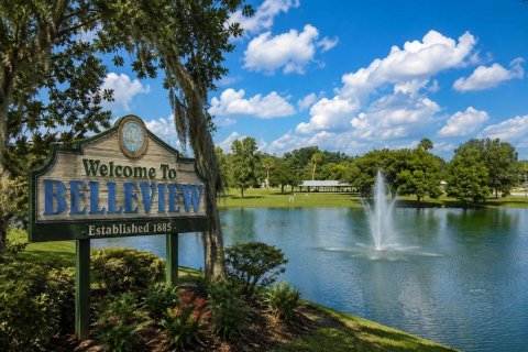 Land in Belleview, Florida № 2391368 - photo 8