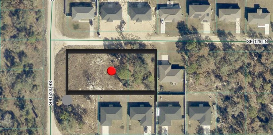 Land in Belleview, Florida № 2391368