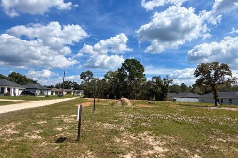 Land in Belleview, Florida № 2391368 - photo 3