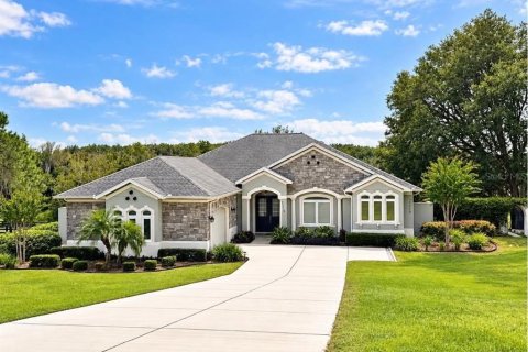 House in Mount Dora, Florida 4 bedrooms, 270.81 sq.m. № 2396645