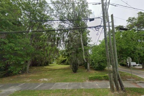 Land in High Springs, Florida № 2163505 - photo 6