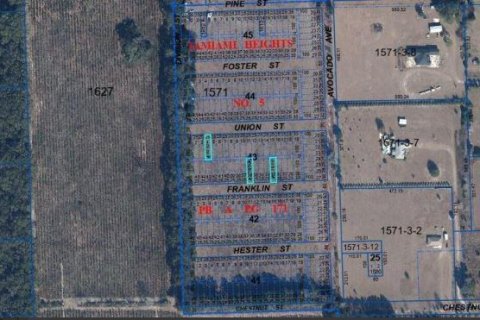Land in High Springs, Florida № 2163505 - photo 4