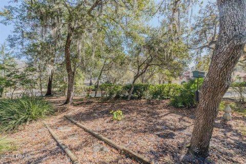 Villa ou maison à vendre à Ormond Beach, Floride: 3 chambres, 202.62 m2 № 1905705 - photo 24