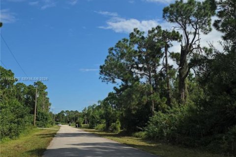 Land in Lehigh Acres, Florida № 2158646