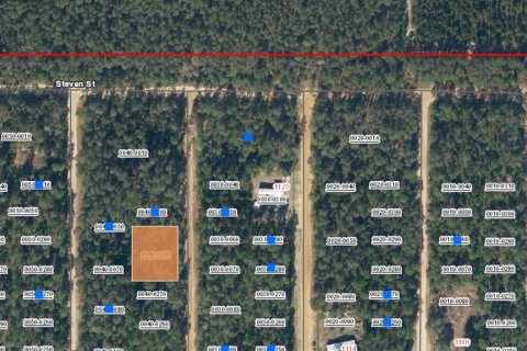 Land in Interlachen, Florida № 2228837