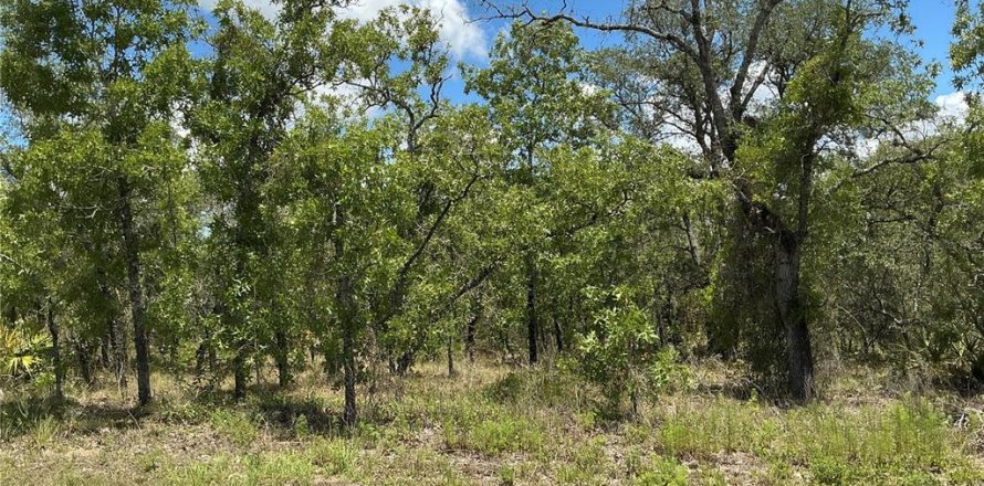 Land in Weeki Wachee, Florida № 1802220