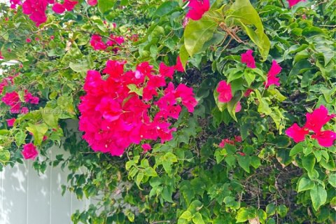 Villa ou maison à louer à Hollywood, Floride: 4 chambres, 128.67 m2 № 1898116 - photo 10