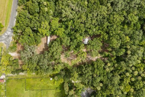 Land in Oviedo, Florida № 1816692 - photo 6