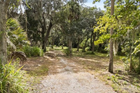 Land in Oviedo, Florida № 1816692 - photo 2