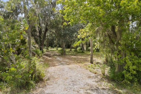 Land in Oviedo, Florida № 1816692 - photo 1