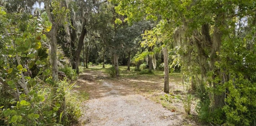 Land in Oviedo, Florida № 1816692