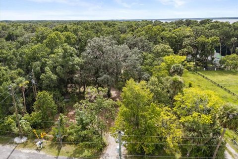 Land in Oviedo, Florida № 1816692 - photo 12