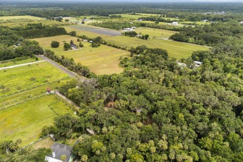 Land in Oviedo, Florida № 1816692 - photo 4