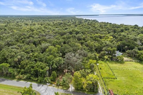Land in Oviedo, Florida № 1816692 - photo 8