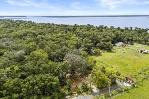 Land in Oviedo, Florida № 1816692 - photo 7