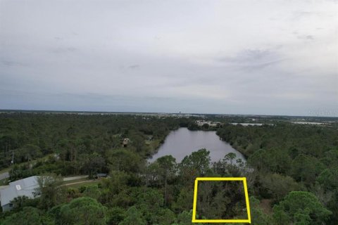 Land in Punta Gorda, Florida № 2213142 - photo 15